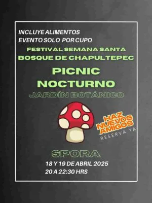 Picnic Nocturno Spora